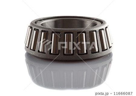 bearing  11666087