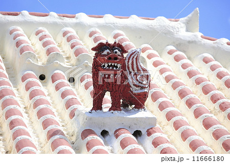 屋根の上のシーサー 屋根の上のシーサー 11666180