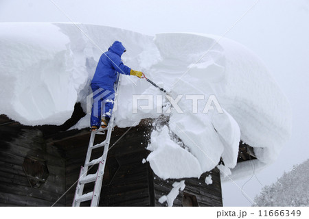 雪下ろし作業02 雪下ろし作業02 11666349