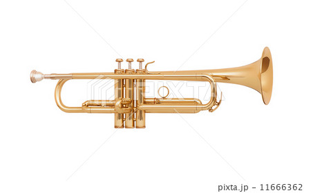 brass trumpet isolated on white background 11666362