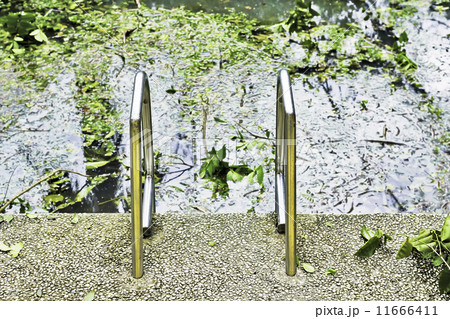 Dirty Swimming Pool Dirty Swimming Pool 11666411