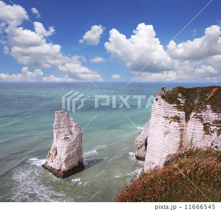 Etretat 11666545
