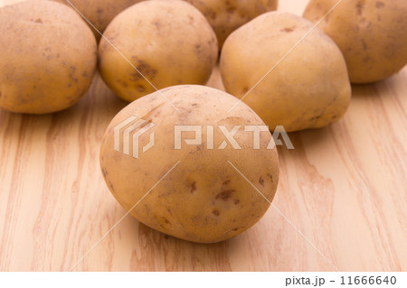 じゃがいも（キタアカリ） 11666640