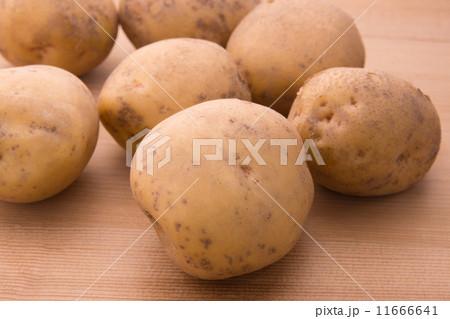 じゃがいも（キタアカリ） 11666641