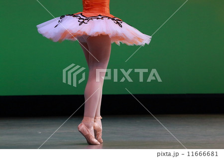 バレリーナ 11666681