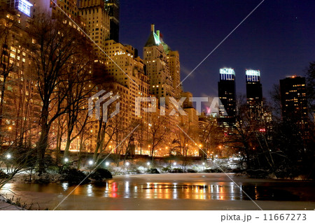セントラルパーク　ビル夜景 11667273