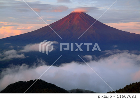 三つ峠から見る朝焼けの富士山 三つ峠から見る朝焼けの富士山 11667633
