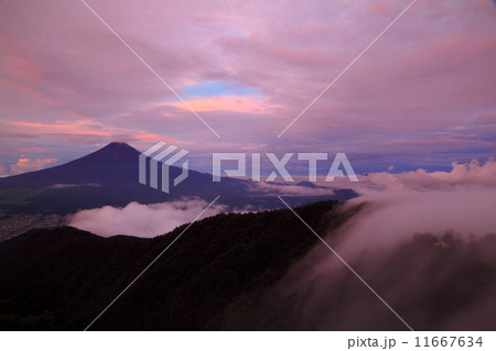 三つ峠から朝焼け雲と黎明の富士山 三つ峠から朝焼け雲と黎明の富士山 11667634