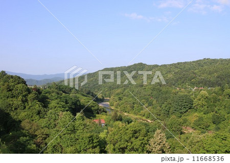 西芦別の山の奥。 11668536