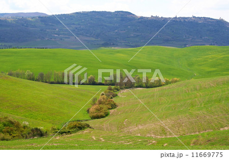 Italy. Val D'Orcia valley. Tuscany landscape 11669775