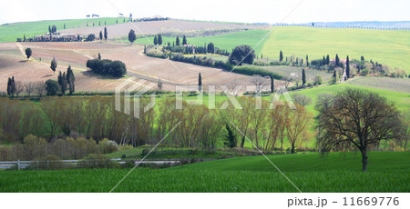 Italy. Tuscany landscape. 11669776