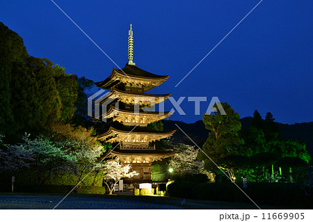 瑠璃光寺の夜景 瑠璃光寺の夜景 11669905