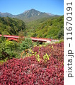 紅葉　山　橋 11670191
