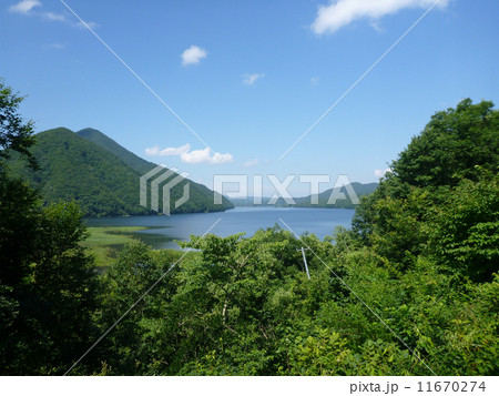 夏の秋元湖 11670274