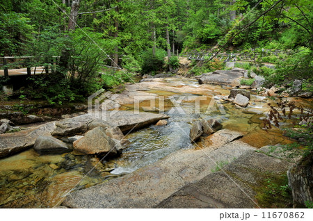 長野県 木曽郡 赤沢自然休養林の渓流 長野県 木曽郡 赤沢自然休養林の渓流 11670862