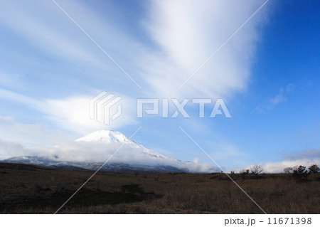 吊し雲と冬の富士山 吊し雲と冬の富士山 11671398