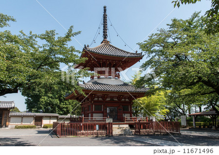 喜多院多宝塔 喜多院多宝塔 11671496