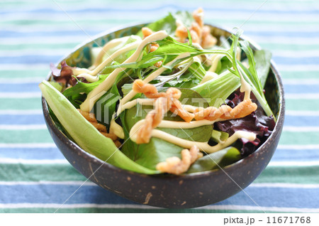 サラダボウル 11671768