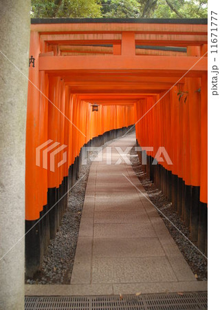 伏見稲荷大社 赤鳥居 伏見稲荷大社 赤鳥居 11671777