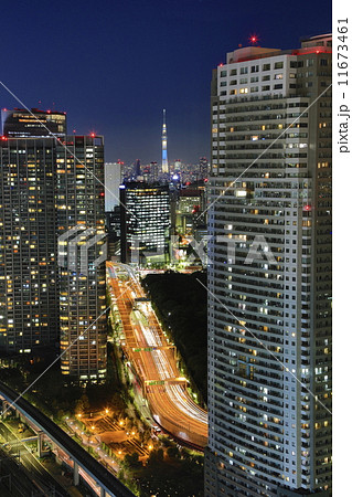 超高層マンションと東京スカイツリーが見える夜景の写真素材