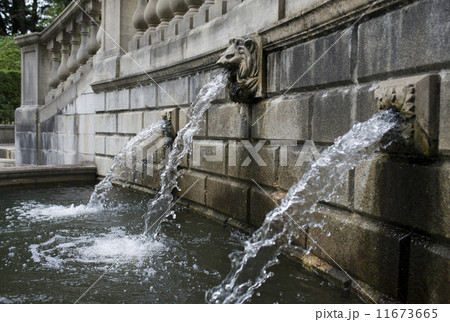 公園の吐水口 公園の吐水口 11673665