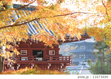 當麻寺 11673690
