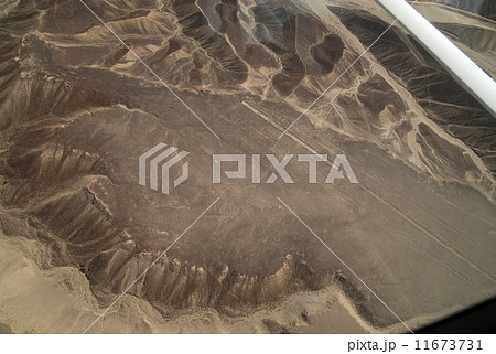 ペルー ナスカ 地上絵 ハチドリ ペルー ナスカ 地上絵 ハチドリ 11673731