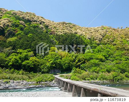 半家沈下橋 11673819