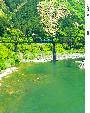 四万十の鉄橋 四万十の鉄橋 11673827