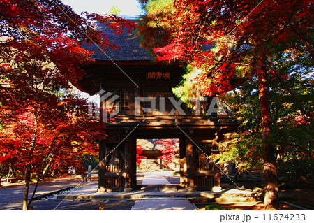 平林寺 平林寺 11674233