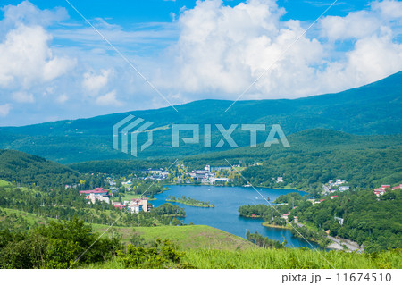 大自然と夏の空 大自然と夏の空 11674510