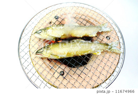 季節の味わい・七輪の上の鮎の塩焼き・白バック横位置俯瞰 季節の味わい・七輪の上の鮎の塩焼き・白バック横位置俯瞰 11674966