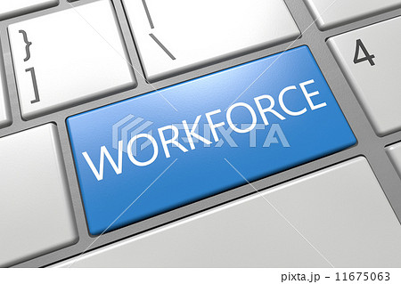 Workforce 11675063