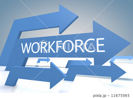 Workforce Workforce 11675065