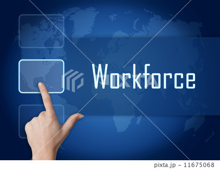 Workforce 11675068