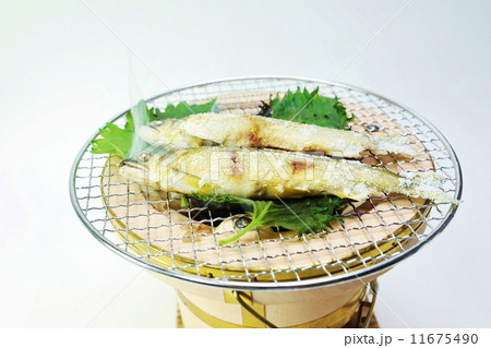 季節の味わい・七輪の上に紫蘇の葉敷きで鮎の塩焼き・白バック横位置 季節の味わい・七輪の上に紫蘇の葉敷きで鮎の塩焼き・白バック横位置 11675490