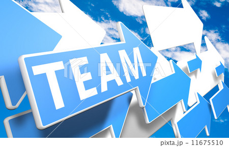 Team Team 11675510