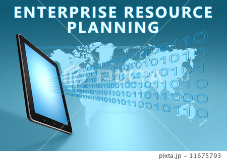 Enterprise Resource Planning 11675793
