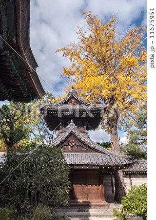 大谷祖廟　太鼓堂 11675951