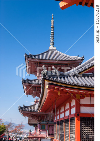 清水寺 三重塔 清水寺 三重塔 11676229
