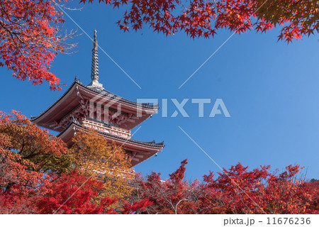 清水寺 三重塔 清水寺 三重塔 11676236
