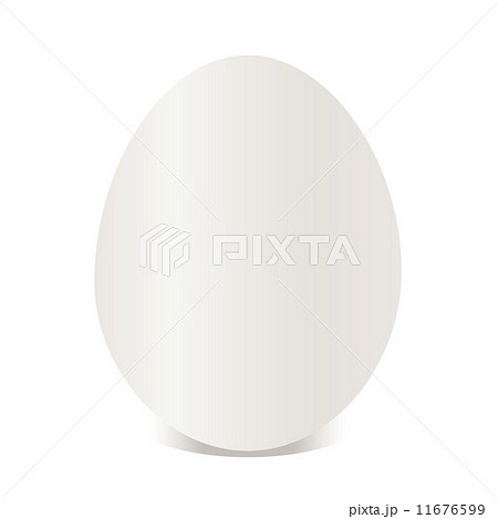 White egg - isolated on white background  11676599