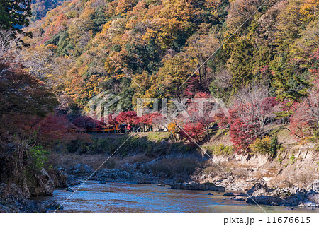 嵯峨野嵐山 11676615