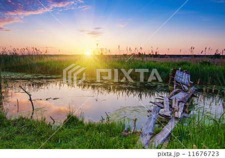 Rural summer sunrise 11676723