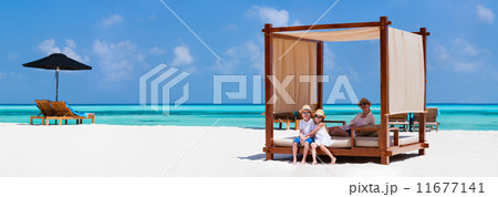 Family on summer vacation 11677141