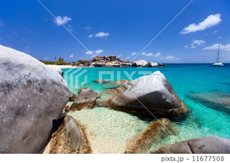 Stunning tropical beach 11677508