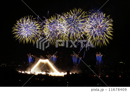 蒼天の富士 蒼天の富士 11678409