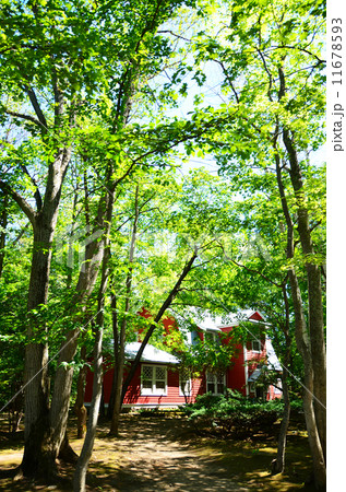 旧有島家　外観 11678593