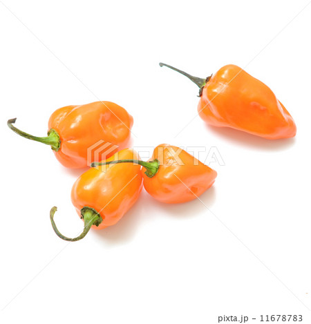 Hot peppers 11678783