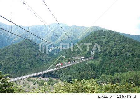 The Suspension Bridge. The Suspension Bridge. 11678843